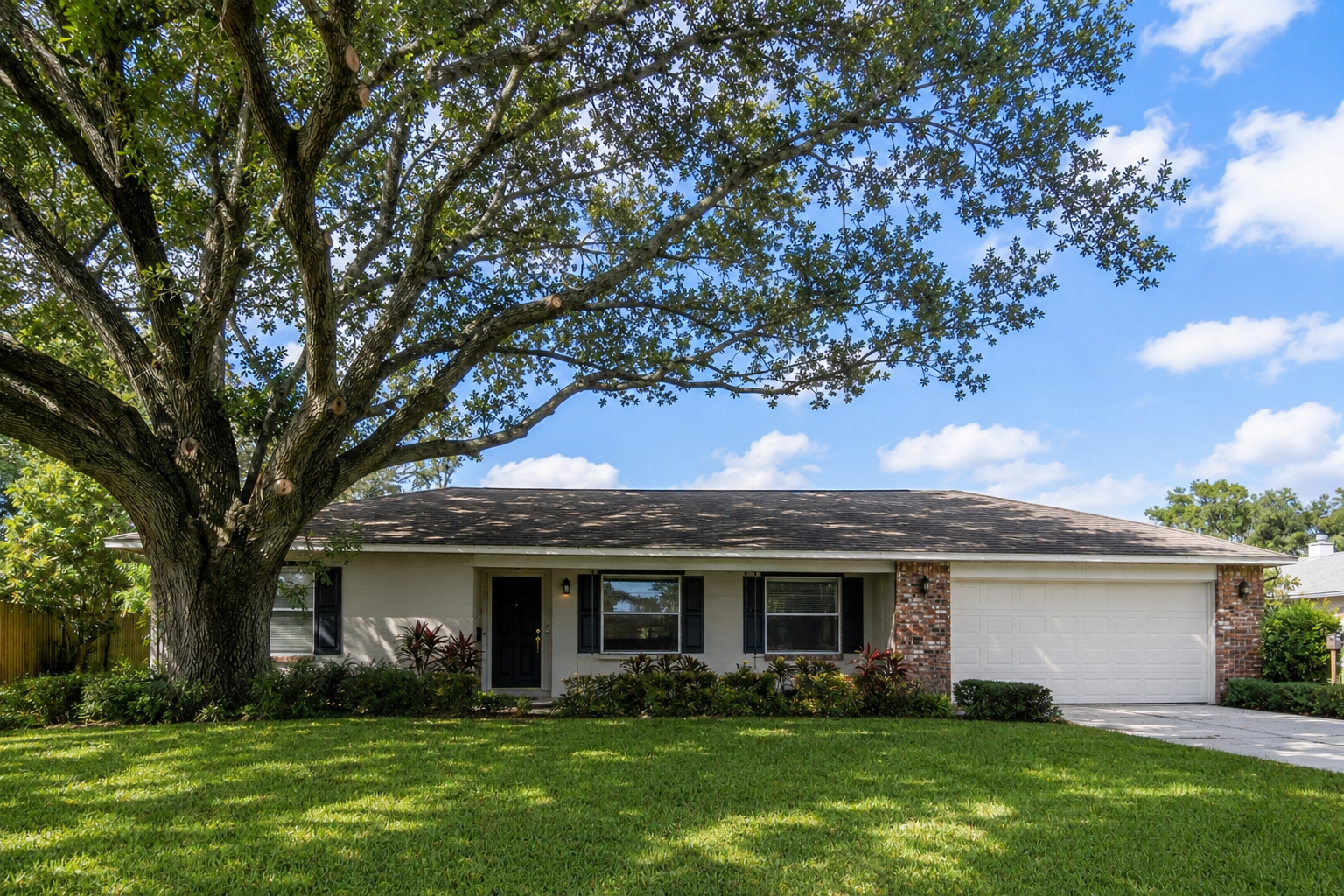 After photo of the same residence showing trimmed trees and a cleaned-up yard